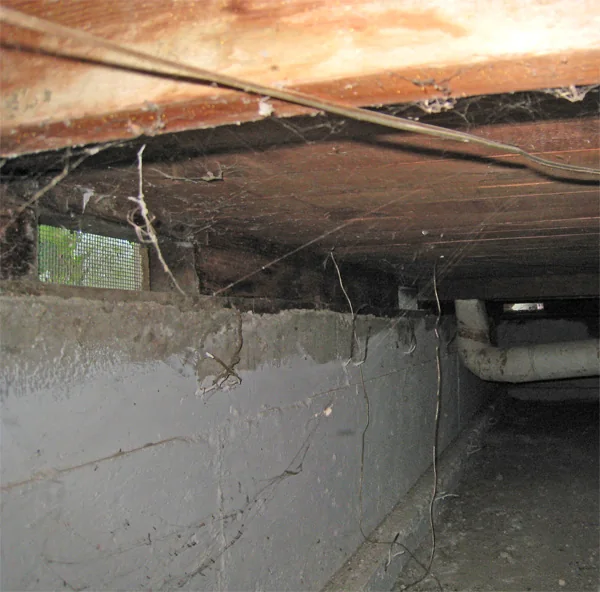 Crawlspace Water Removal in a Fort Worth home
