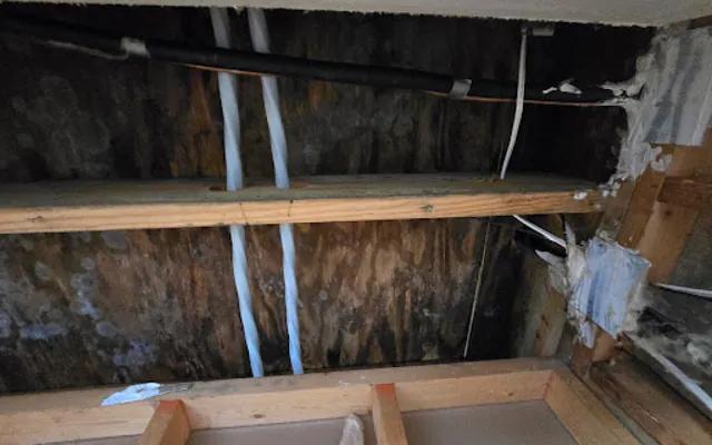 Roof Leak Water Damage in Fort Worth, TX