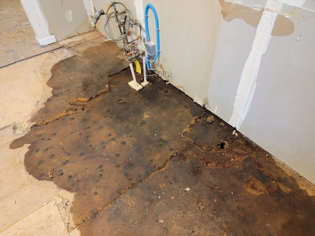 Preventing Future Water Leaks